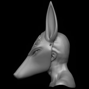 May include: A gray Anubis mask, featuring a canine head with long ears and detailed facial features. The mask is sculpted with intricate patterns above the eye and is designed to fit over the face and head.