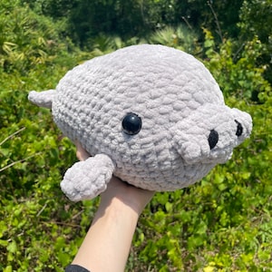 Jumbo Manatee