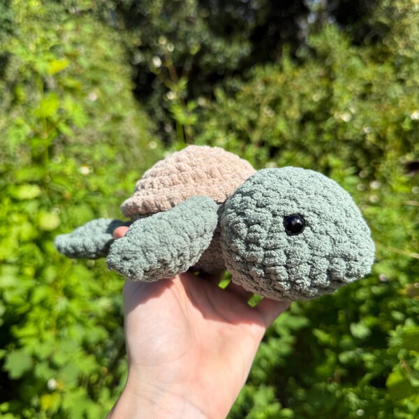 Petite tortue de mer