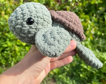 Small Sea Turtle