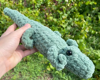 Little Gator