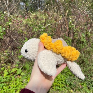 Small Sunflower Turtle