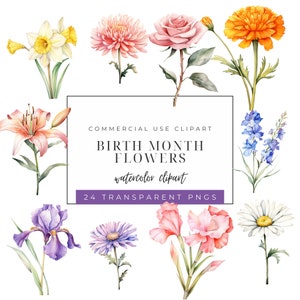 Imágenes prediseñadas de flores del mes de nacimiento, Gráficos PNG florales de acuarela, Regalos de flores DIY, Descarga instantánea, Uso comercial, Cumpleaños botánico