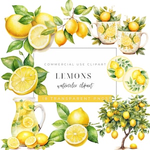 Aquarell Zitronen Clipart - Sommer Clip Art - Babyparty Dekor - Limonade Grün - Junk Journals - Kommerzielle Nutzung - Transparente PNGs