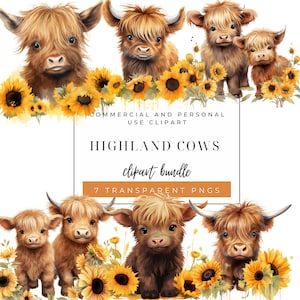 Watercolor Sunflower Highland Cows Clipart, Baby Animal, Baby Cow Clipart Bundle, 7 PNG Spring Flowers Clipart, Commercial and personal Use