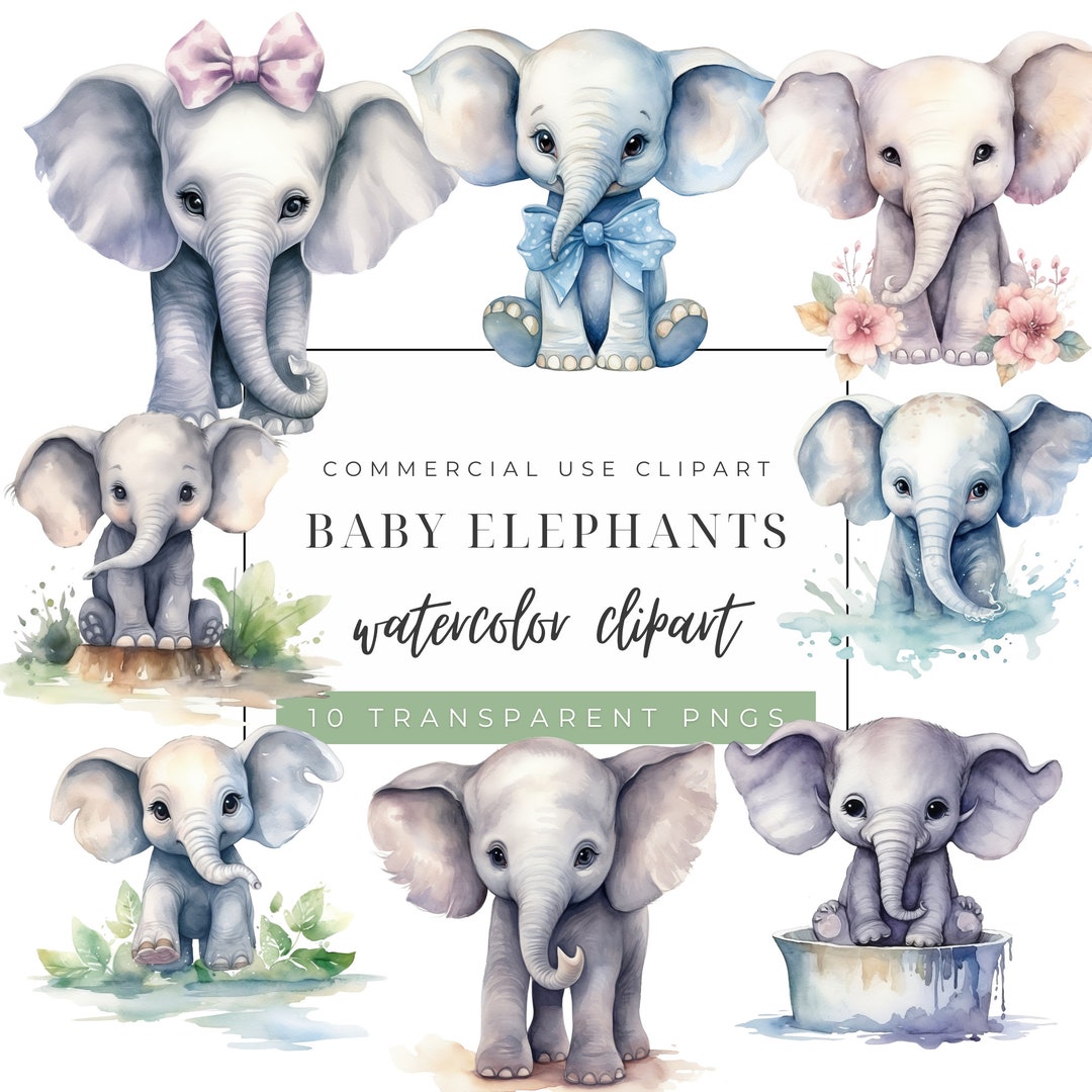 Watercolor Baby Elephant Clipart: Nursery Decor (digital Download) - Etsy