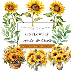May include: Watercolour clipart bundle of sunflowers in various arrangements. Includes single sunflowers, bouquets in baskets and vases, and a leafy branch.  13 transparent PNG files for commercial and personal use.