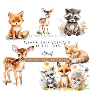Woodland Animals Watercolor Clipart, Forest Animals Clipart, Cute Woodland Animals, Nursery Decor, Woodland Baby Shower Clipart