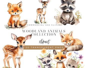 Woodland Animals Watercolor Clipart, Forest Animals Clipart, Cute Woodland Animals, Nursery Decor, Woodland Baby Shower Clipart