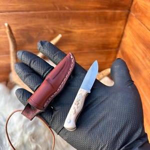 Könnte beinhalten: Eine kleine braune Ledertasche für ein Messer mit einer silbernen Klinge und einem weißen Griff. Das Messer befindet sich in einer behandschuhten Hand.