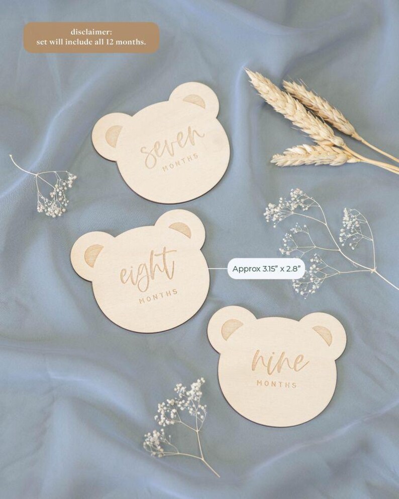 Baby Milestone Card - Teddy Bear Milestone, Perfect for Cricut, SVG ...