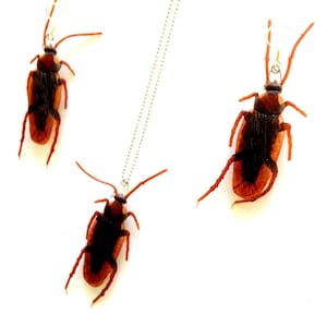 Jewelry set BYE BYE COCKROACH life size plastic insects funny jewels by The Sausage
