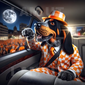 University of Tennessee, Smoky the dog, UT, orange and white, Tennessee