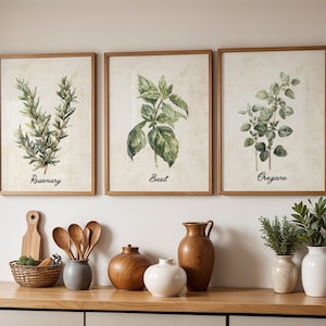 Set of 3 Kitchen Vintage Print, Antique Beige Kitchen Wall Art, Rustic Watercolor Botanical Herb Decor, Modern Cottagecore Farmhouse Posters