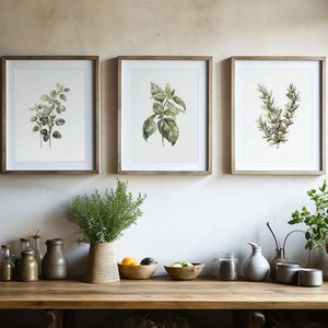 Aquarel keukenkruiden, keukenmuurdecoratie, moderne set van 3 prenten, grote kunstposters, aquarel groen, botanische abstracte kunst