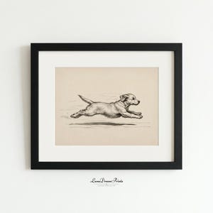 May include: A framed black and white print of a running puppy. The puppy is depicted in a vintage style, with detailed shading and lines. The print is set against a cream-colored background and framed in a black frame.