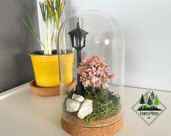 Terrarium moss decor with small lamp, Everlasting miniature Fairy Garden, Glass Dome complete decoration for Kid, Cloche Handmade Scene Gift