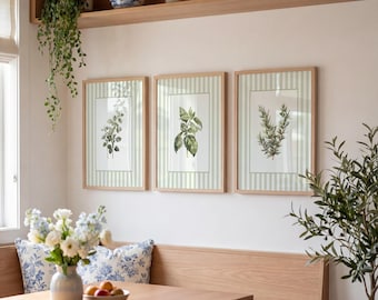 Green Striped Herb Botanical Set of 3 Kitchen Print, Green Kitchen Wall Art, Cottage Kitchen Wall Decor, Downloadable Prints For Kitchen