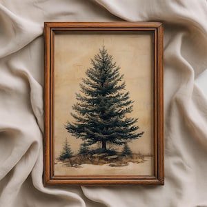 Lámina vintage de pino, decoración botánica para el hogar, arte mural en tonos neutros, pintura de árbol de hoja perenne, lámina de pintura de abeto, descarga digital