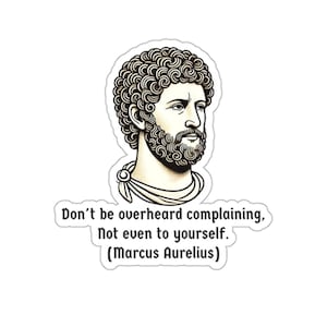 Marcus Aurelius 1 (vinyl sticker, vinyl decal, laptop, tumbler, notebook, safe, mindfulness, energy, stoicism, stoics, self reflection)