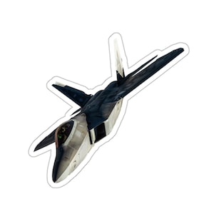F-22 Raptor (vinyl sticker, vinyl decal, laptop, tumbler, notebook, safe, aircraft, military, aviation)