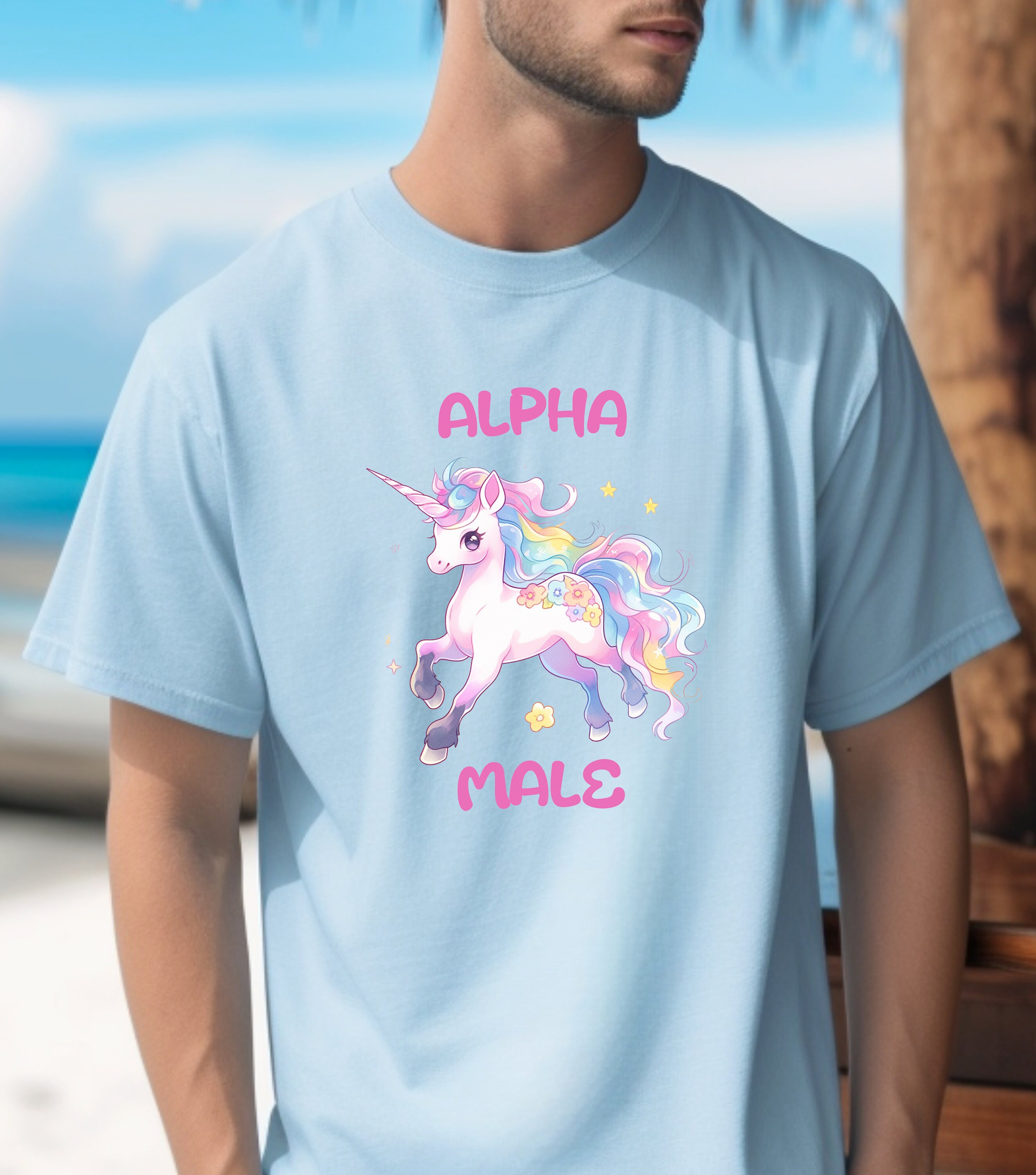 Alpha Male T Shirt Navy Alpha Male T Shirt for Men
