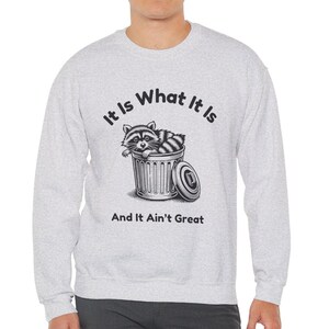 May include: A gray sweatshirt with a raccoon in a trash can graphic and the text "It Is What It Is And It Ain't Great".