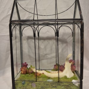 Deer’s Jaw Bone Terrarium