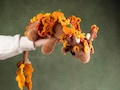 Autumn Earth Dragon Amigurumi Crochet Pattern US Terms PDF product logo