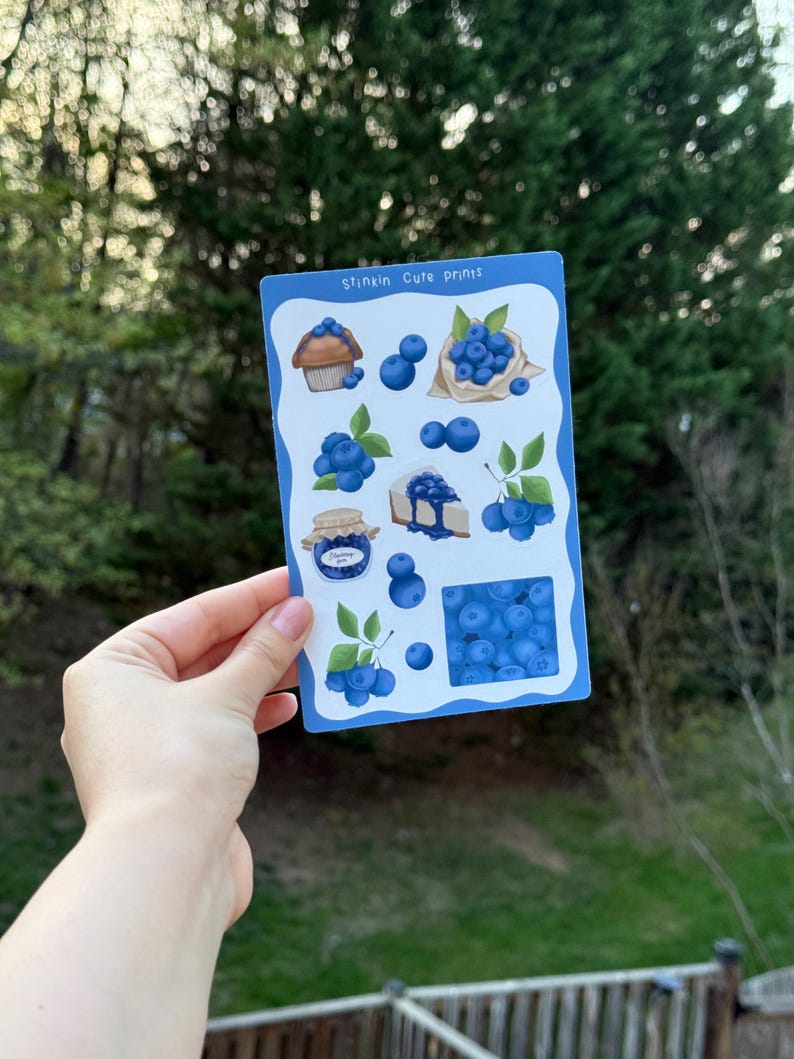 Blueberry Sticker Sheet - Etsy