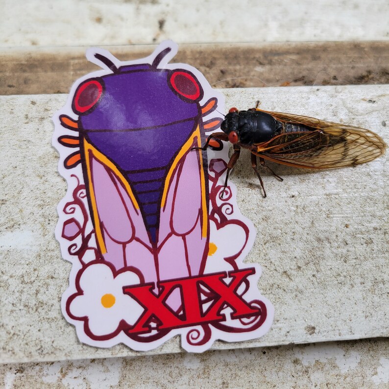 Brood XIII and Brood XIX Periodical Cicada Stickers Insect Theme 3 Inch ...