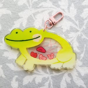 Glass Frog Shaker Charm | 4 inch / 10 centimeter Acrylic Animal Keychain
