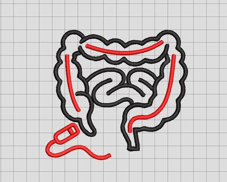 Colonoscopy Sticker Designs Colonoscopy Embroidery Design for Endoscopists | GI Anatomy Medical ...