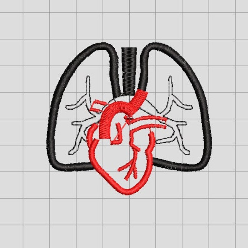 Pu&ograve; includere: Ricamo anatomico raffigurante un cuore e arterie rosse, con contorni neri di polmoni e trachea. Il disegno &egrave; ambientato su uno sfondo a griglia, adatto a temi medici o educativi.