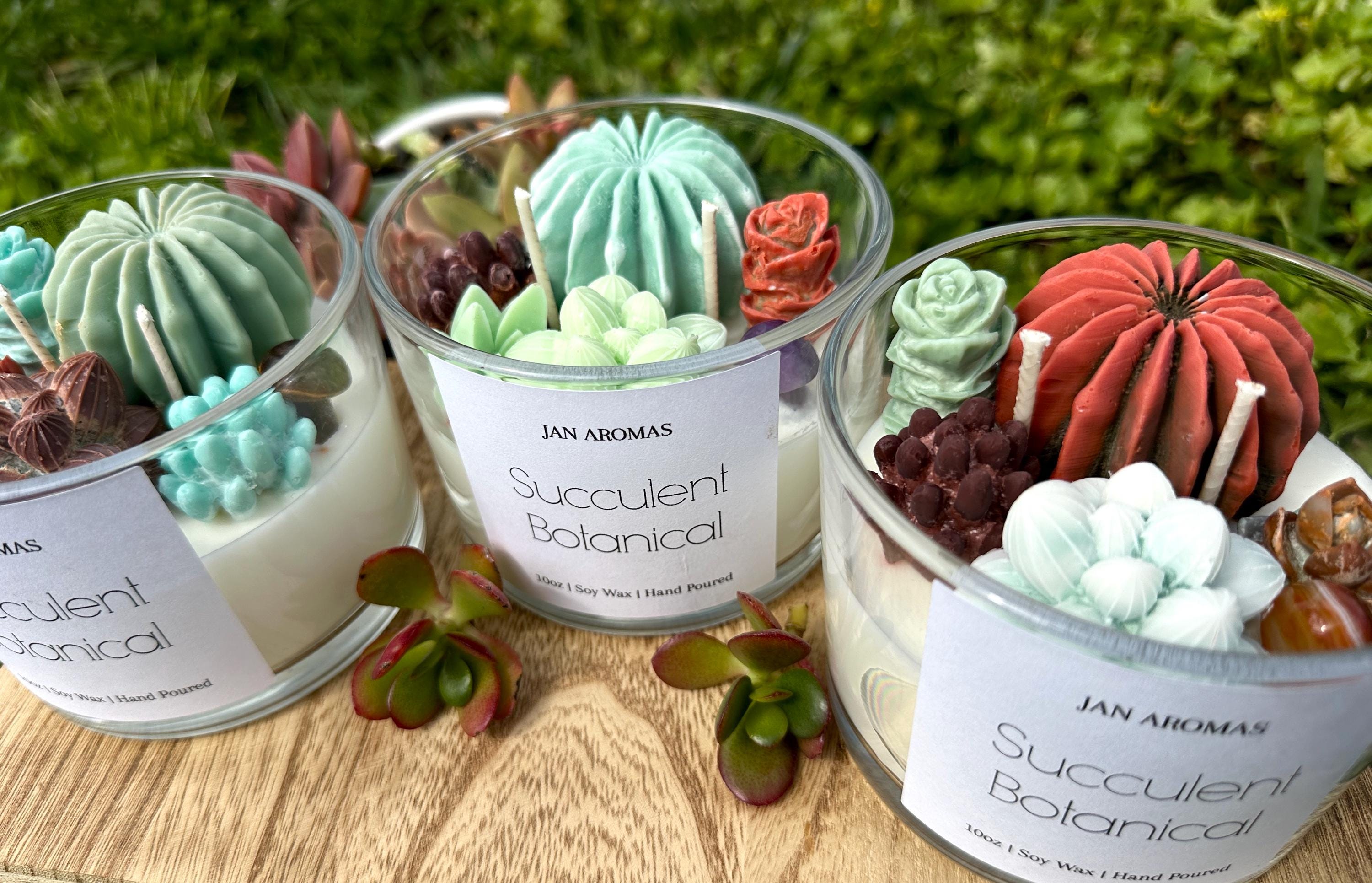 Succulent Plant Candle Soy Wax