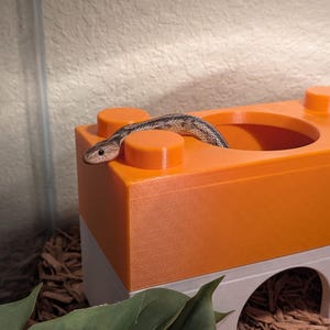 Apilables: pieles y casas apilables para reptiles, peces, roedores, hámsteres, serpientes y mucho más.