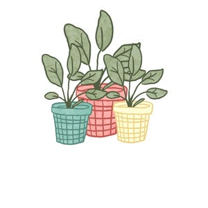 May include: Illustration of three potted plants. The pots are in shades of blue, pink, and yellow, with a grid-like pattern. The plants have green leaves and are set against a white background.