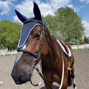 Horse Bonnet Pattern - DIY Ear Bonnet Pattern, Instructions