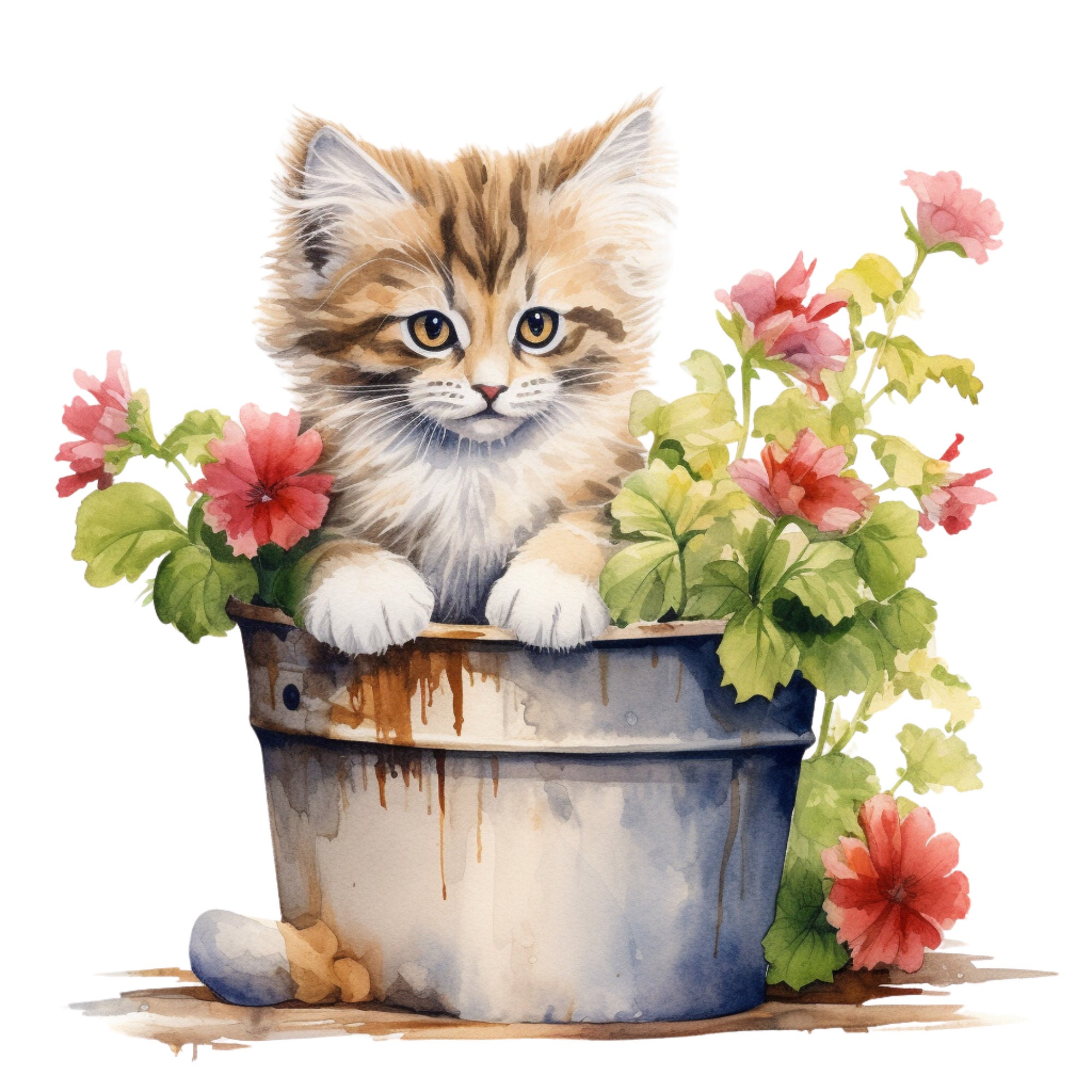 Cute Kitten, Kitten, Digital Download, Printable File, 8 High Quality ...
