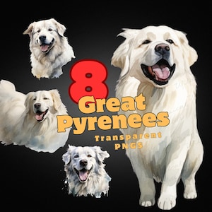 Pyrenäen-Hunderasse, PNG-Hundedesign-Clipart-Bundle, Aquarellwelpe, majestätisches Weiß, transparente Posen, Hundekopfaufnahme, digitale Dateien