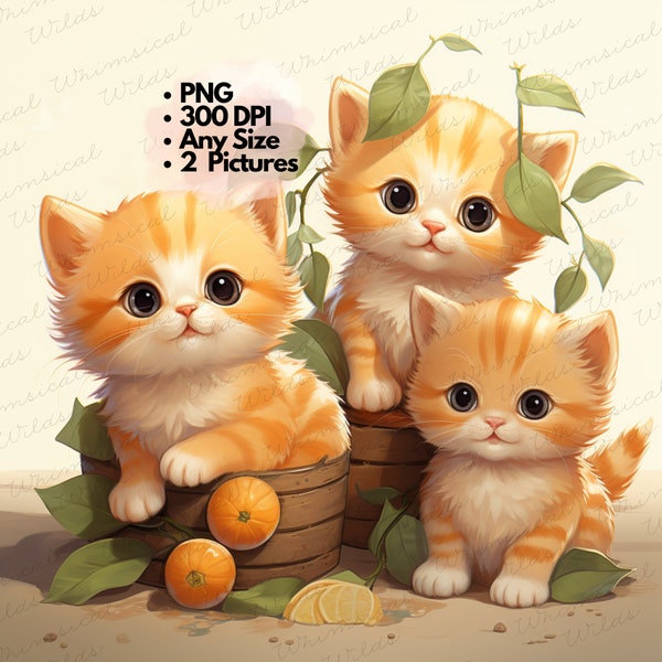 Twee schattige PNG-bestanden van drie kittens in dozen en vaten voor kinderkamerkunst, illustraties, plakboeken of T-shirts