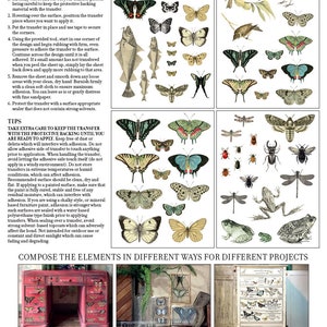 May include: Four sheets of vintage-style transfer designs featuring butterflies, birds, fish, insects, and other nature-inspired elements. The designs are printed on white paper and are ready to be transferred to a variety of surfaces.  The text on the image reads "Compose the elements in different ways for different projects".