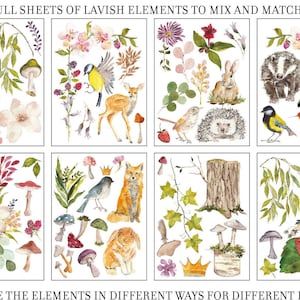 May include: Eight sheets of watercolor illustrations featuring woodland animals, flowers, mushrooms, and other nature-inspired elements.  The illustrations are perfect for crafting, scrapbooking, and other creative projects.  "COMPOSE THE ELEMENTS IN DIFFERENT WAYS FOR DIFFERENT PROJECTS"