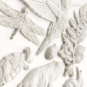 IOD Dewdrop Pond Mould™ 6" x 10" FREE SHIPPING Orders over 150 Resin Clay Fondant Plaster Soap Frog Fern Turtle Toad Lizard Humming Bird Bug