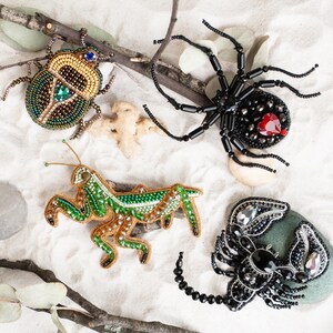 Beaded Insect Brooch Embroidery Kit, Bold DIY Jewelry Making, Create Wearable Art