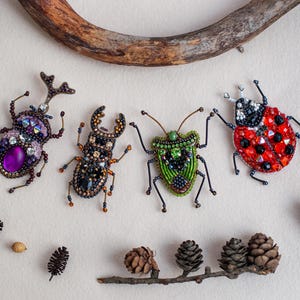 four colorful, intricately designed insects, including a ladybug, a beetle, and two other bugs, arranged on a white background. The insects are surrounded by various natural elements, such as pine cones, acorns, and a tree branch.
