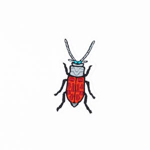 Bug Embroidered Iron on Patches
