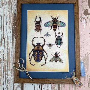 a picture of some bugs on a wall