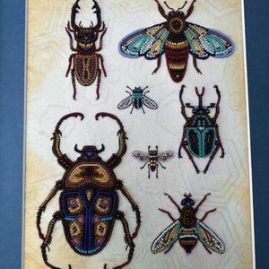 a picture of four different bugs on a blue background