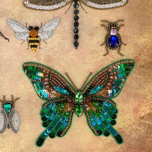 a group of insect brooches sitting on top of a piece of cloth